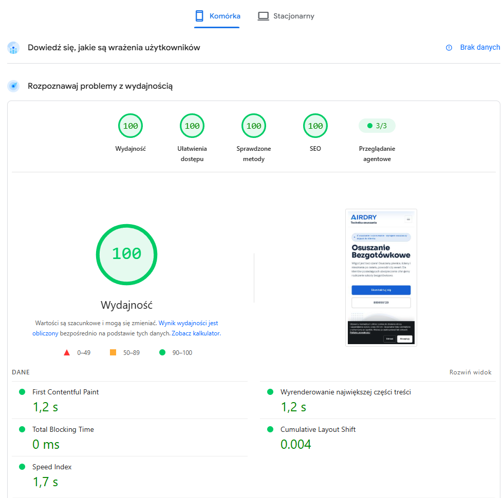 Wynik testu Google PageSpeed Insights na urządzeniu mobilnym: 100 punktów za wydajność, dostępność, sprawdzone metody i SEO